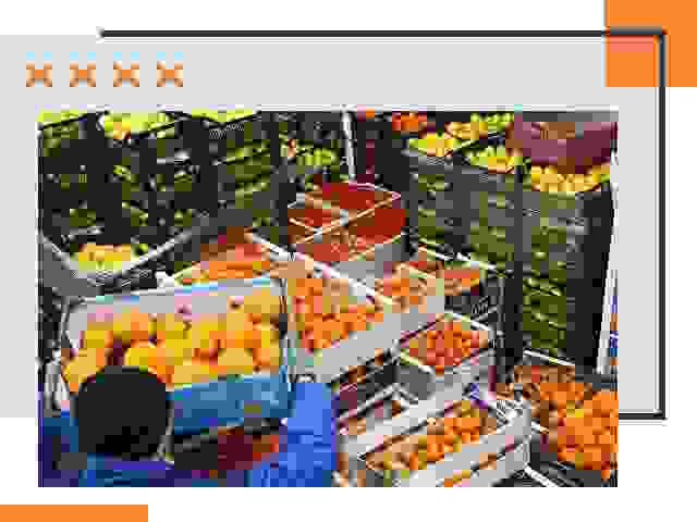 Перевозка скоропортящихся продуктов в Печоре